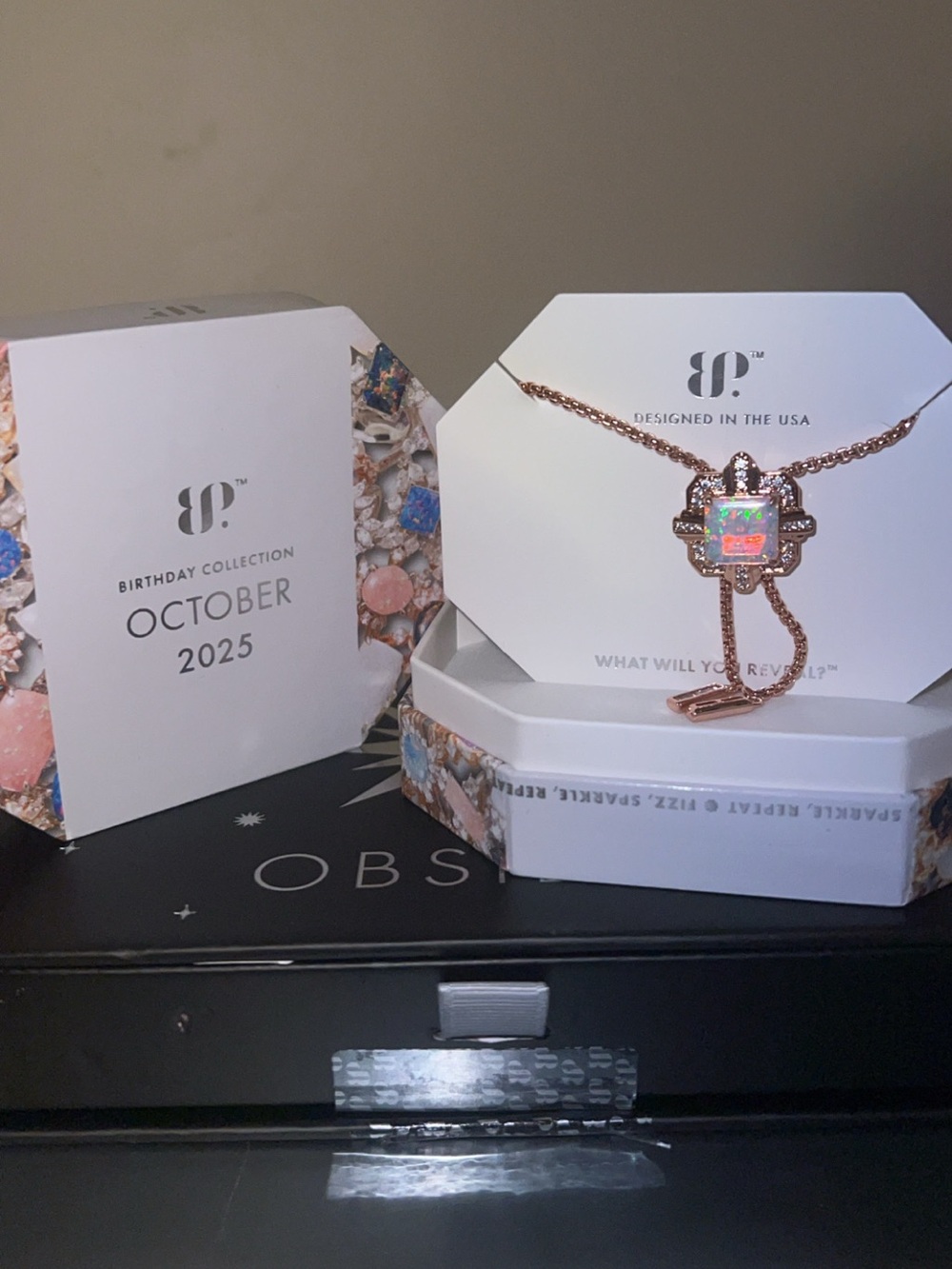 Bomb Party Rose Gold Bolo Necklace October 2025